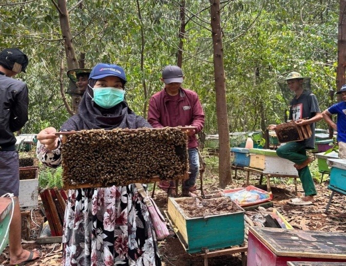 Asih Naturindo Product